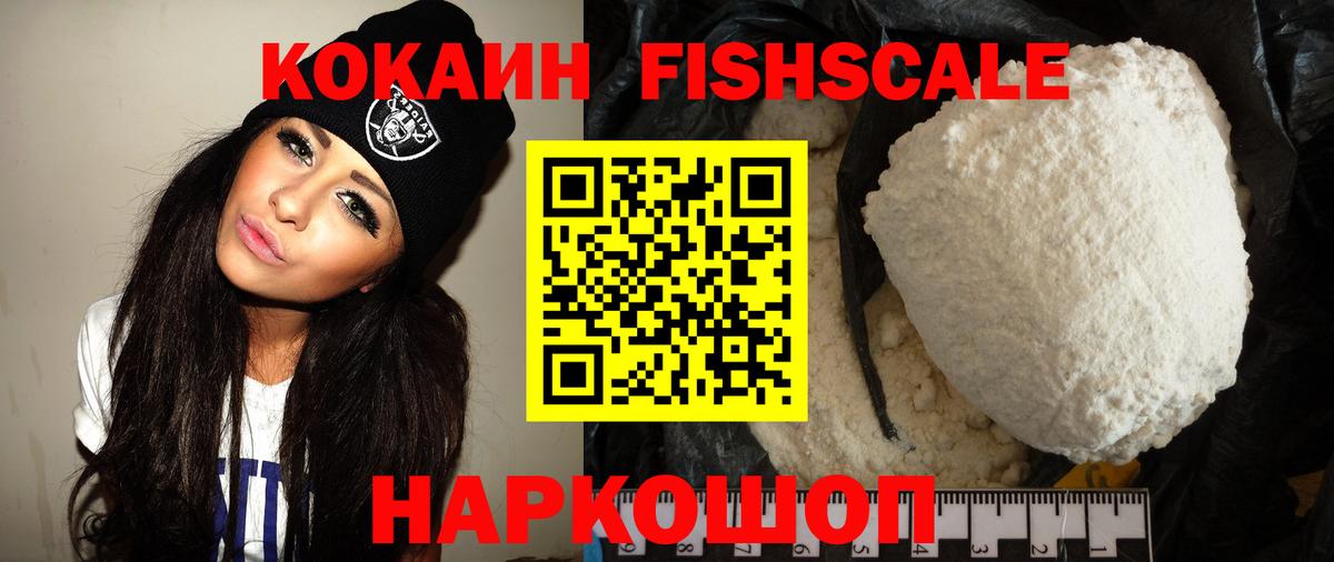 продажа наркотиков  КОКАИН Боливия  Елизово  Вход с VPN  Cocaine Fish Scale 
