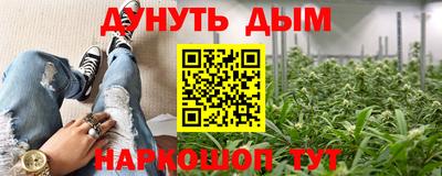 индика Краснокаменск