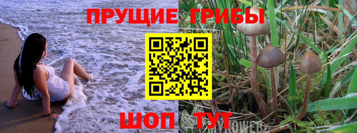 Галлюциногенные грибы мицелий  Вход с VPN  как найти закладки  Елизово 