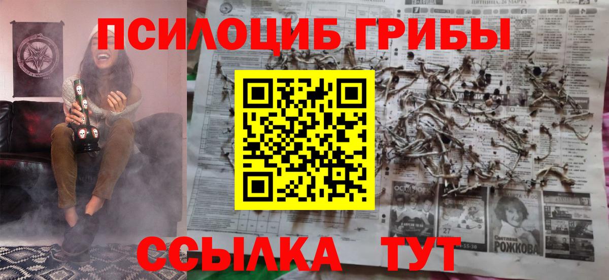 Псилоцибиновые грибы Psilocybe Елизово